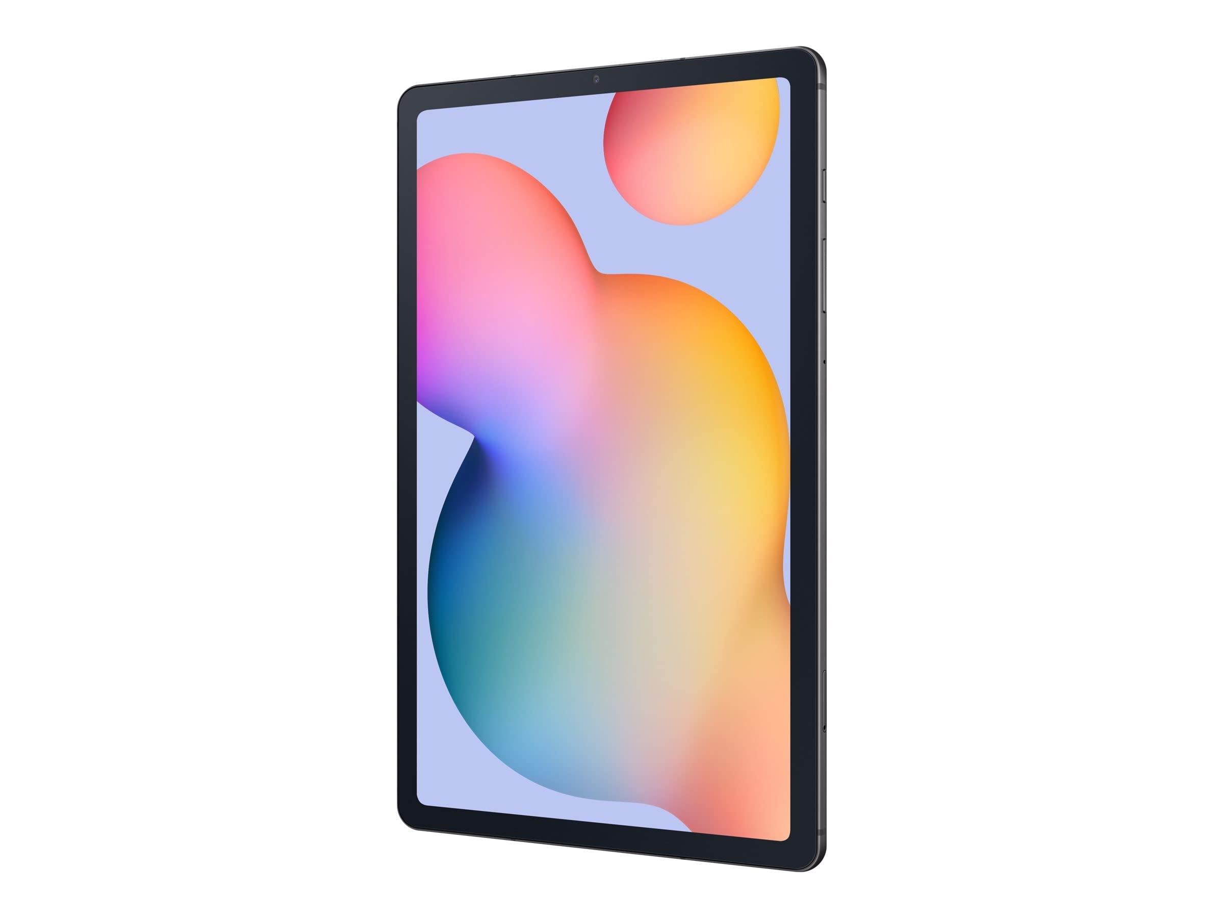 Samsung Galaxy Tab S6 Lite (2024) (64GB, WiFi) 10.4